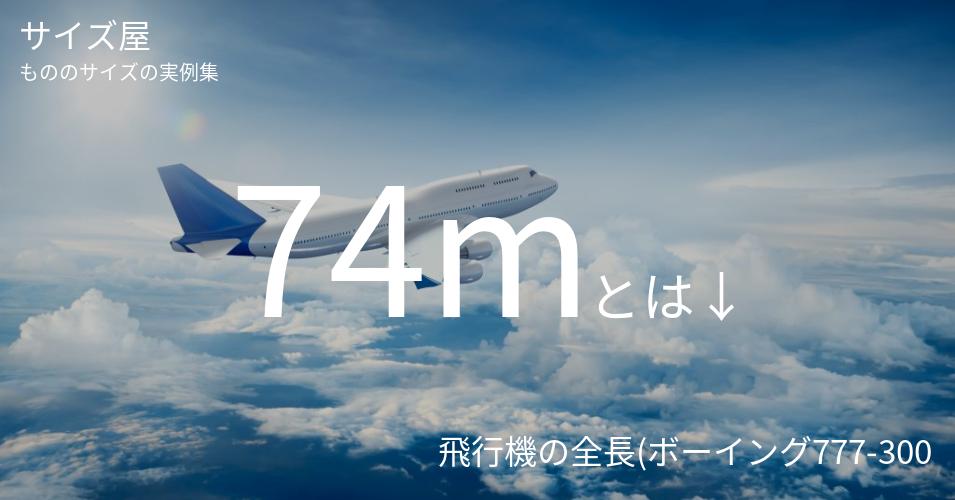 74mとは「飛行機の全長(ボーイング777-300)」くらいの高さです