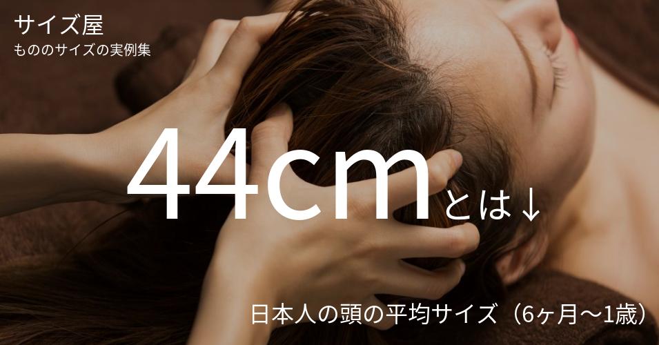44cmとは「日本人の頭の平均サイズ（6ヶ月～1歳）」くらいの高さです