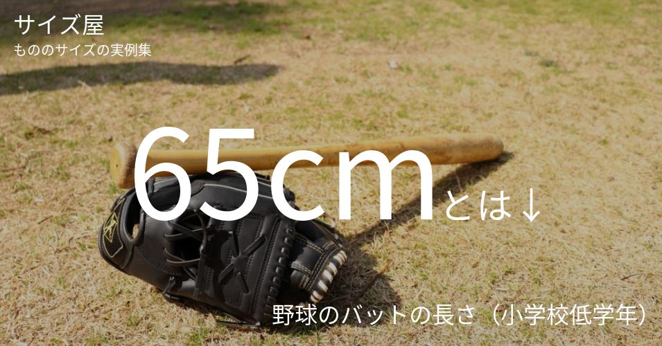 65cmとは「野球のバットの長さ（小学校低学年）」くらいの高さです