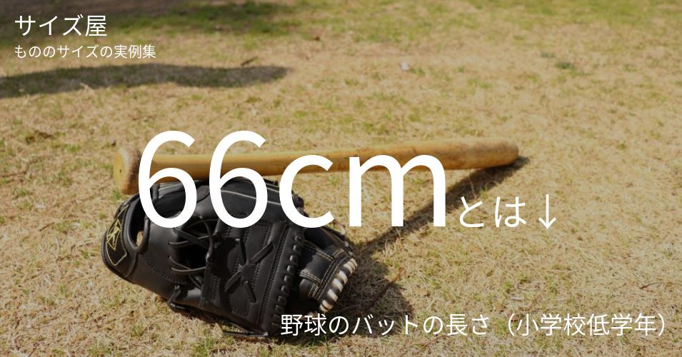 66cmとは「野球のバットの長さ（小学校低学年）」くらいの高さです