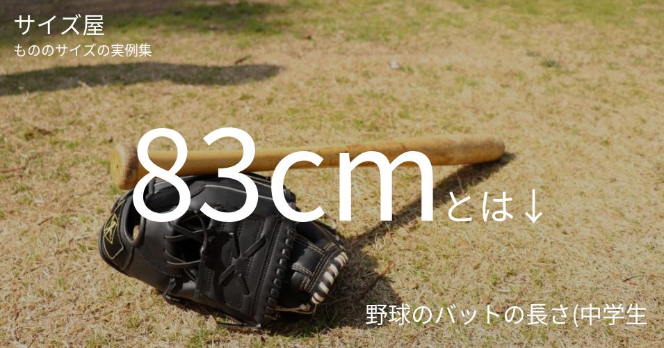 83cmとは「野球のバットの長さ(中学生)」くらいの高さです