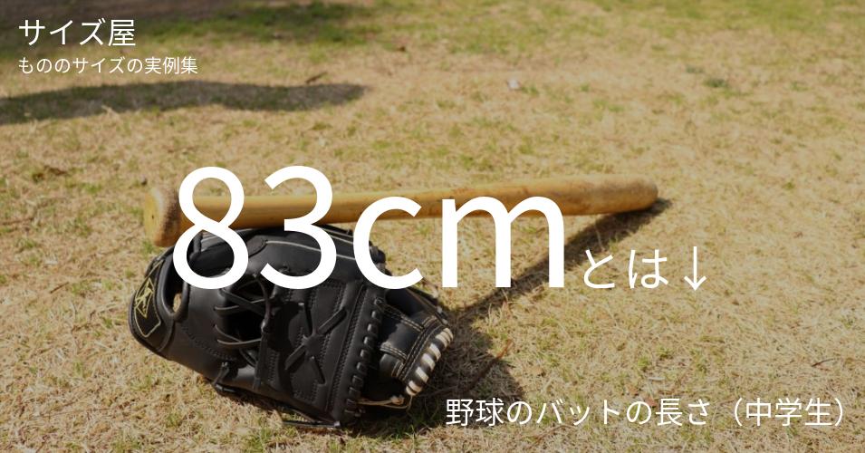83cmとは「野球のバットの長さ（中学生）」くらいの高さです