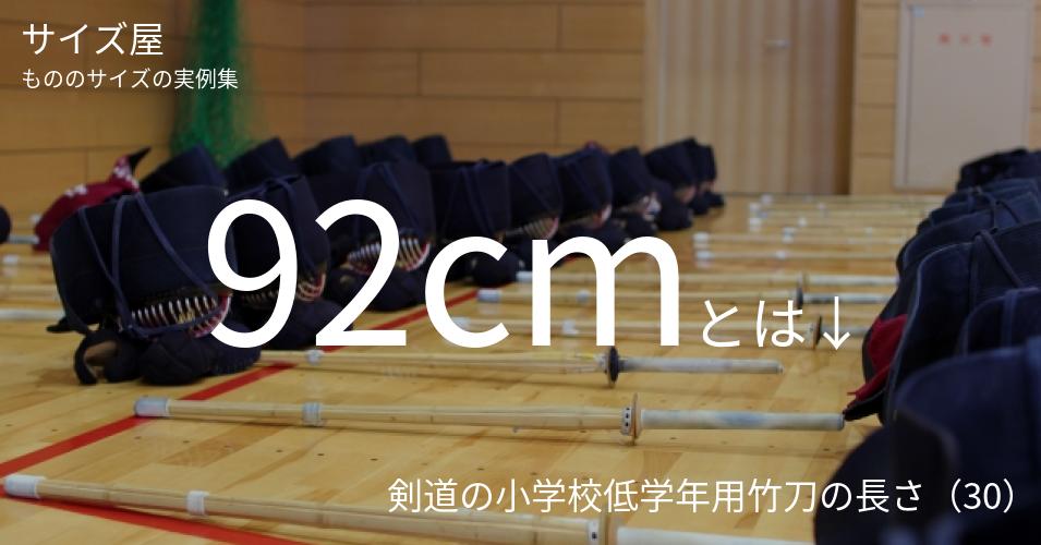 92cm サイズ屋 モノのサイズの実例集 92cm サイズ屋 モノのサイズの実例集