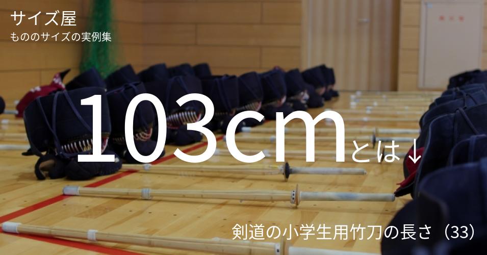 103cmとは「剣道の小学生用竹刀の長さ（33）」くらいの高さです