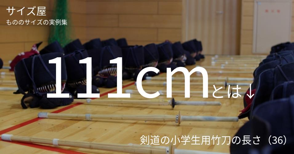111cmとは「剣道の小学生用竹刀の長さ（36）」くらいの高さです