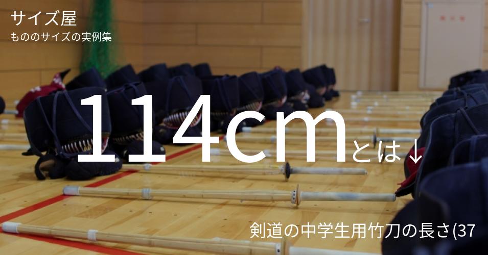 114cmとは「剣道の中学生用竹刀の長さ(37)」くらいの高さです