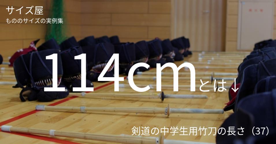 114cmとは「剣道の中学生用竹刀の長さ（37）」くらいの高さです