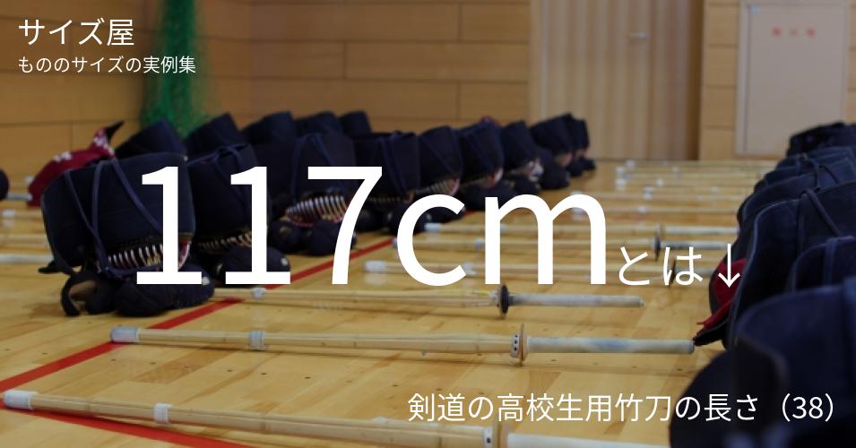 117cmとは「剣道の高校生用竹刀の長さ（38）」くらいの高さです