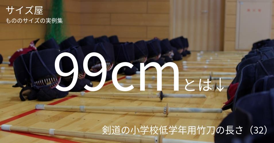 99cmとは「剣道の小学校低学年用竹刀の長さ（32）」くらいの高さです