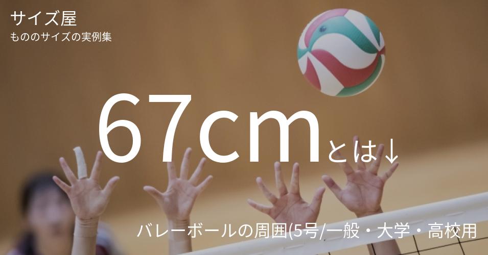 67cmとは「バレーボールの周囲(5号/一般・大学・高校用)」くらいの高さです