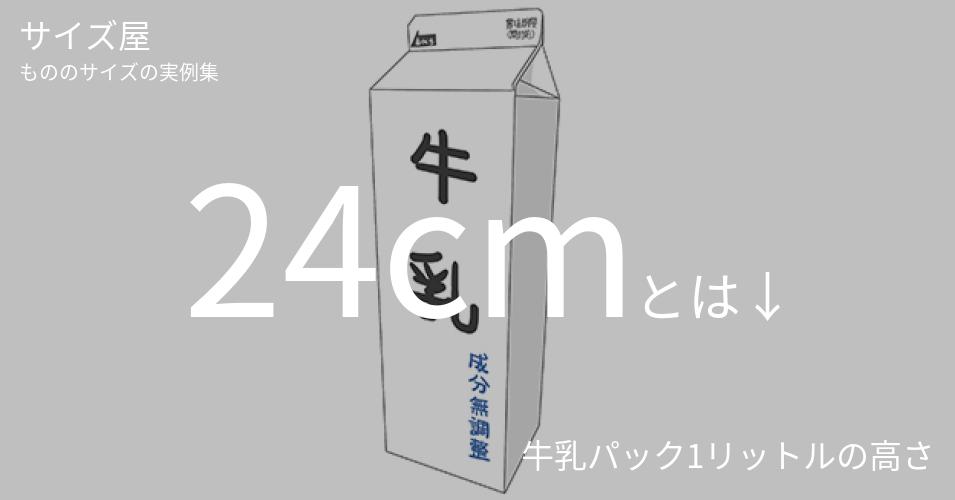 24cmとは「牛乳パック1リットルの高さ」くらいの高さです