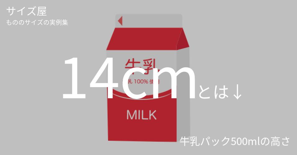 14cm サイズ屋 モノのサイズの実例集 14cm サイズ屋 モノのサイズの実例集