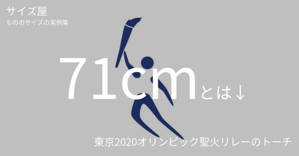 71cmとは「東京2020オリンピック聖火リレーのトーチ」くらいの高さです