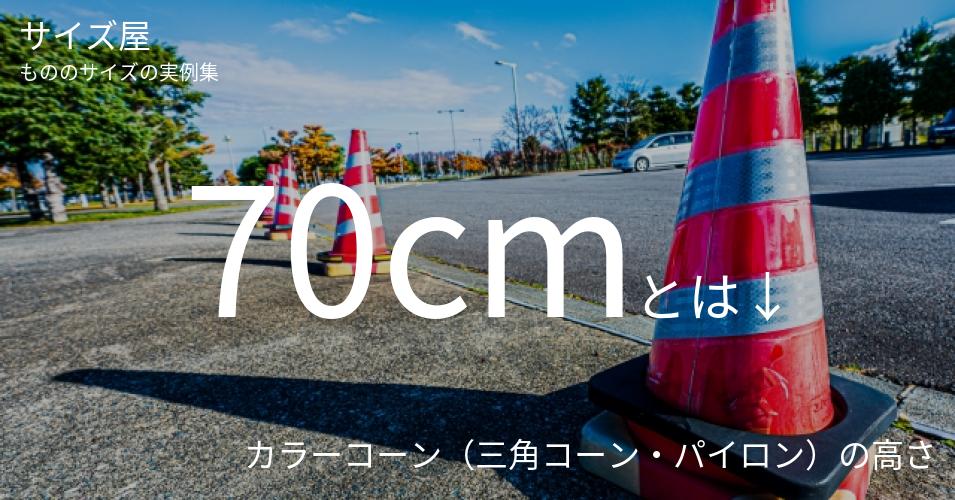 70cm サイズ屋 モノのサイズの実例集 70cm サイズ屋 モノのサイズの実例集