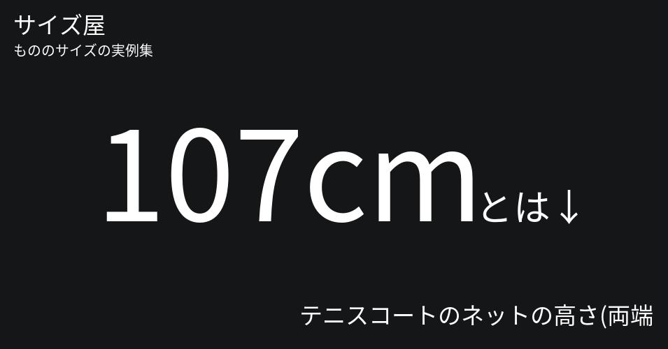 107cmとは「テニスコートのネットの高さ(両端)」くらいの高さです