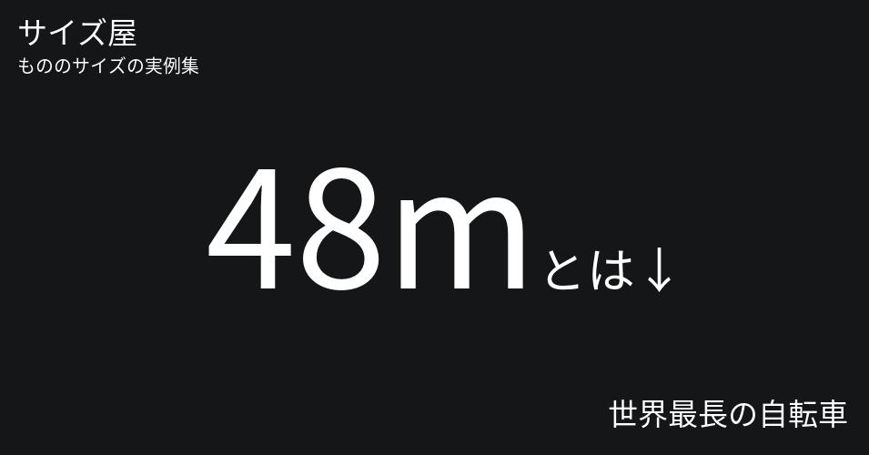48mとは「世界最長の自転車」くらいの高さです