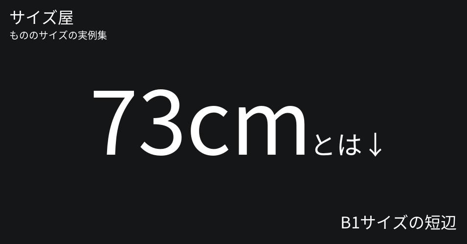 73cmとは「B1サイズの短辺」くらいの高さです