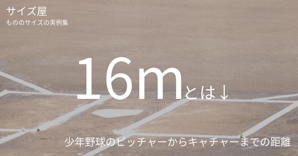 16mとは「少年野球のピッチャーからキャチャーまでの距離」くらいの高さです